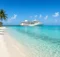 Playa de arena blanca con palmeras y laguna turquesa en Bahamas, con un barco crucero blanco en un muelle al fondo