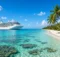 Barco crucero blanco frente a una playa caribeña de agua turquesa con palmeras y arrecife