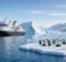 Crucero entre icebergs en la Antártida