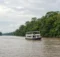 Embarcación de madera navegando por un ancho río amazónico rodeado de selva verde y neblina